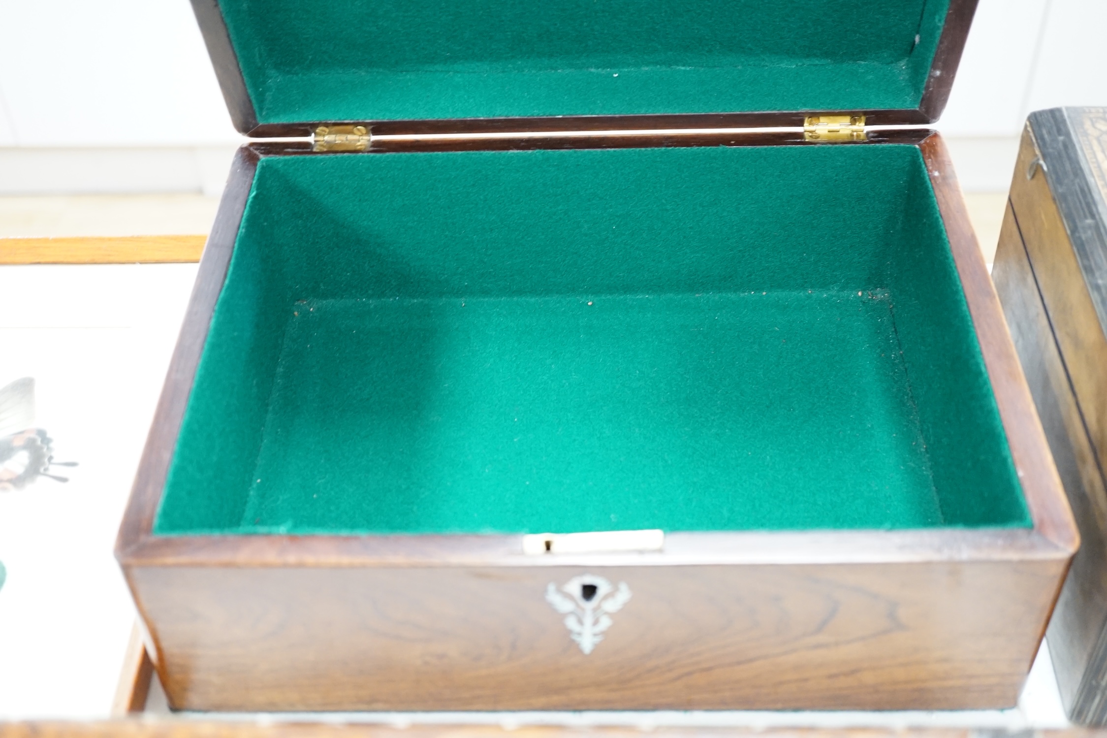 Two Victorian boxes, an amboyna writing slope and a cutlery tray / carrier, largest 33cm wide. Condition - fair